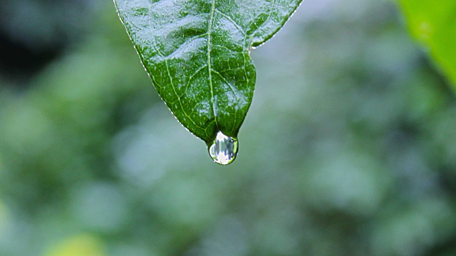 Helpful editorial image for How to make pickle cucumber chips