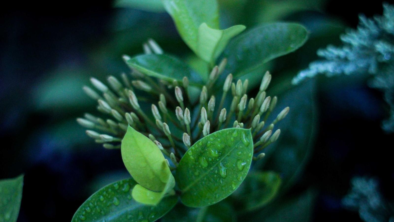 Helpful editorial image for How to organize medicine safely