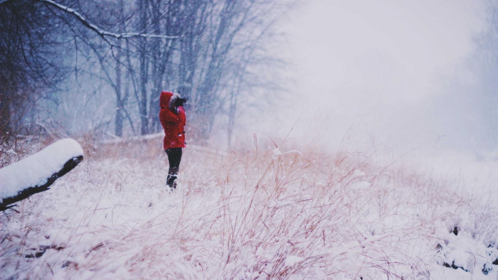 Helpful editorial image for How to organize tax documents