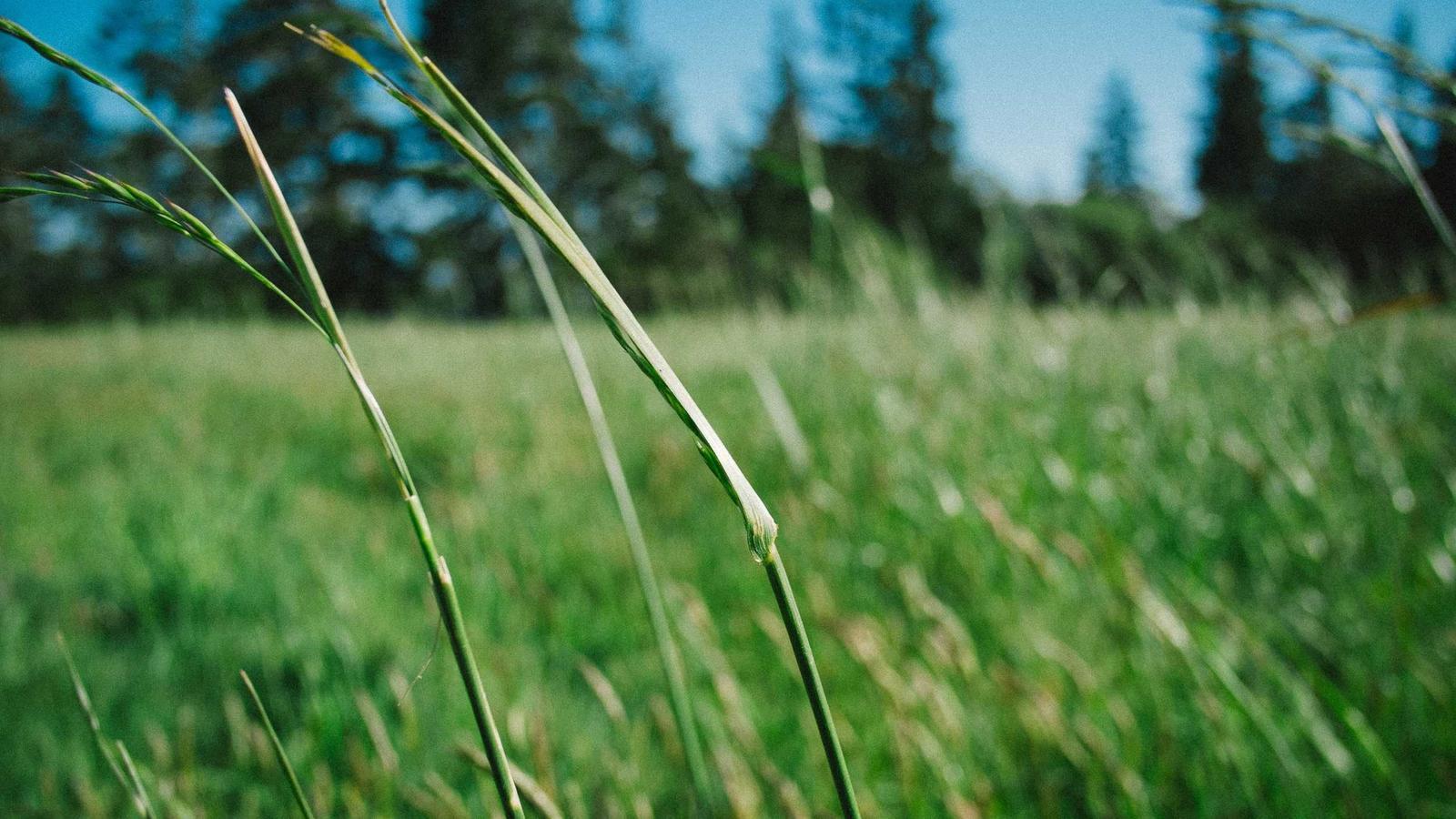 Helpful editorial image for How to plan a birthday party on a budget