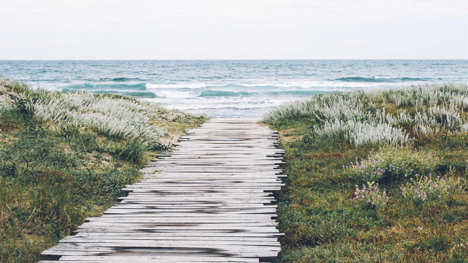 Helpful editorial image for How to plan for car insurance increases