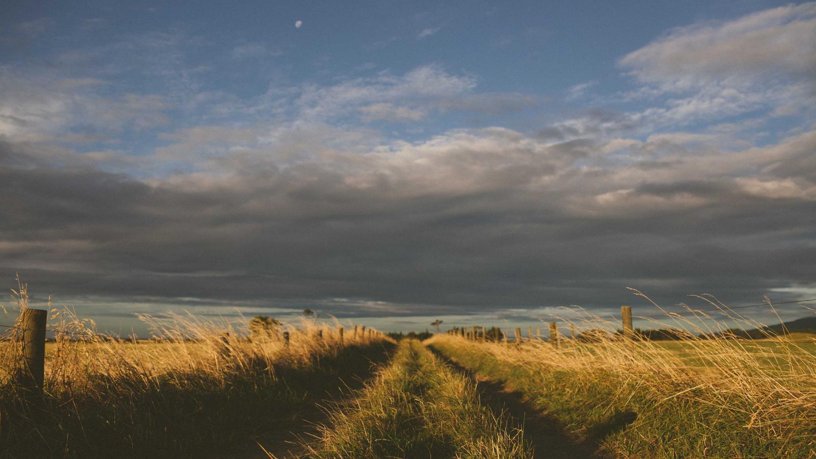 Helpful editorial image for How to read nutrition labels