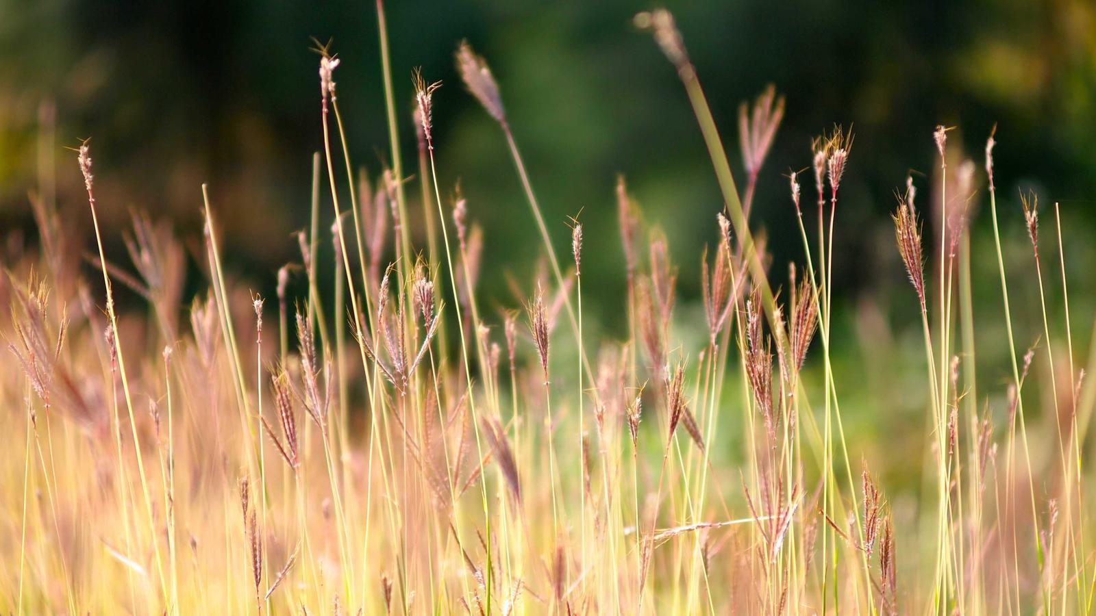 Helpful editorial image for How to reset a messy kitchen