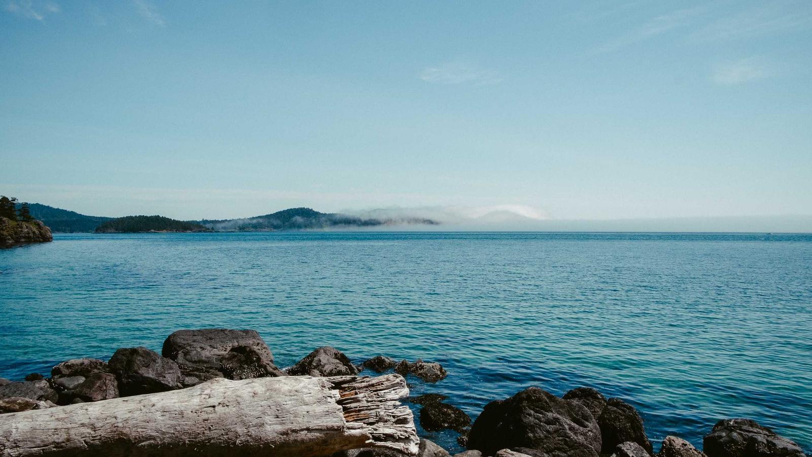 Helpful editorial image for How to spot fake Amazon reviews