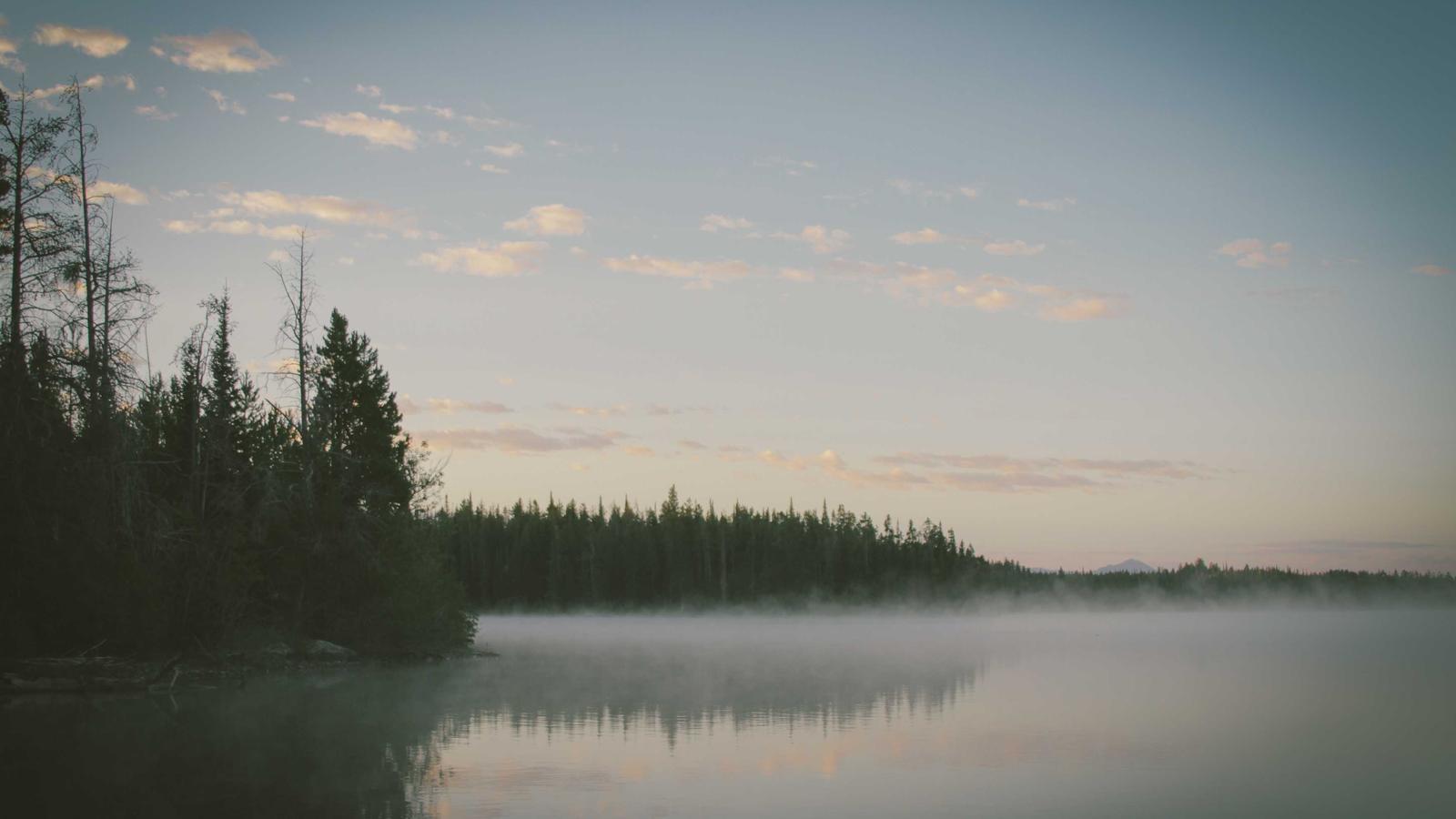 Helpful editorial image for How to watch soccer without cable