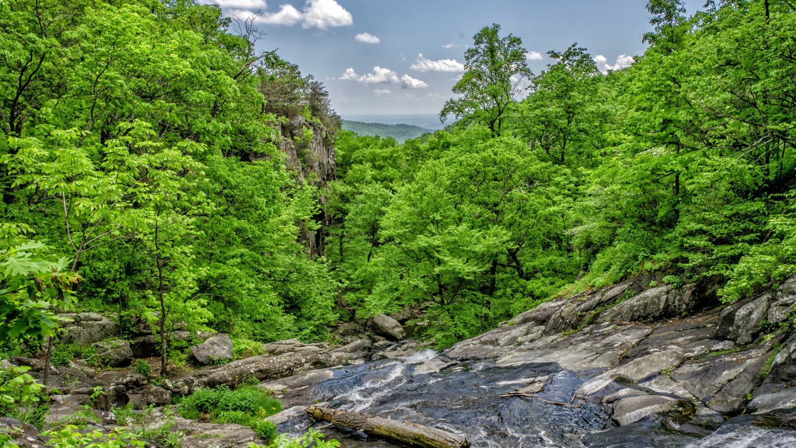 Helpful editorial image for TSA PreCheck vs Global Entry