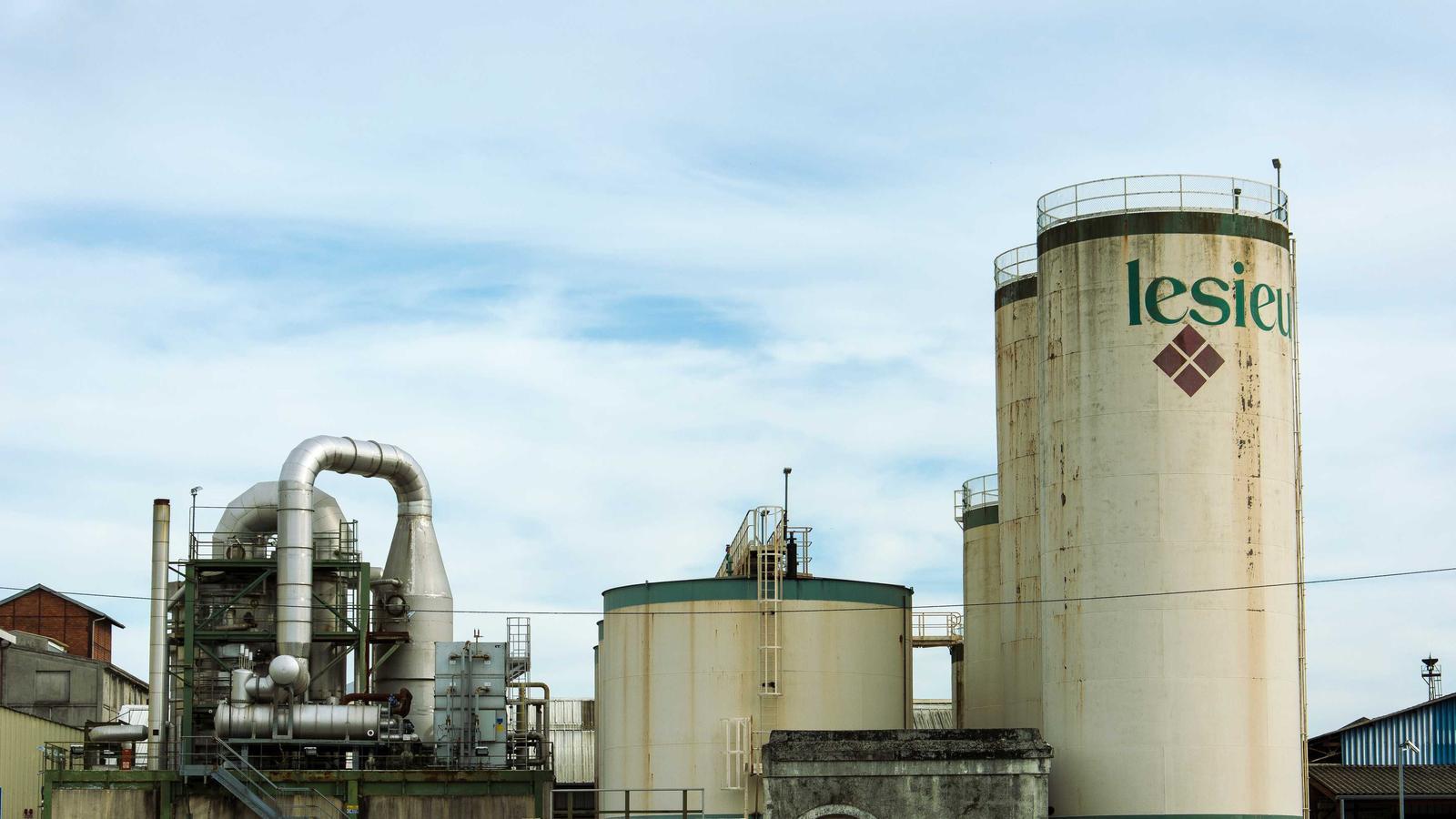 Helpful editorial image for What are GLP-1 friendly meals?