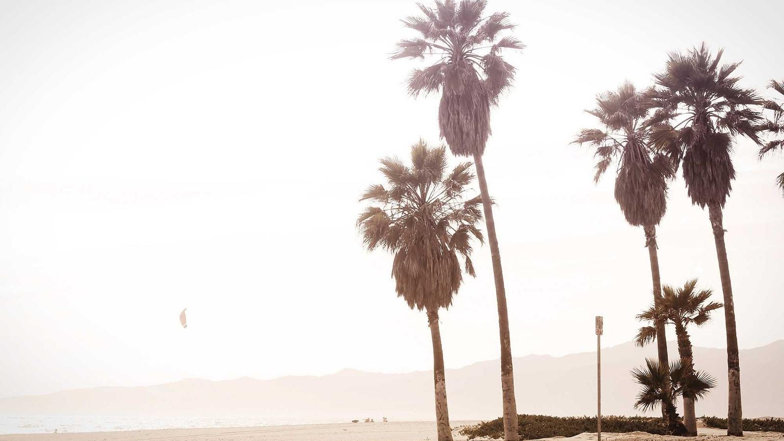 Helpful editorial image for What happens when Congress and the president disagree