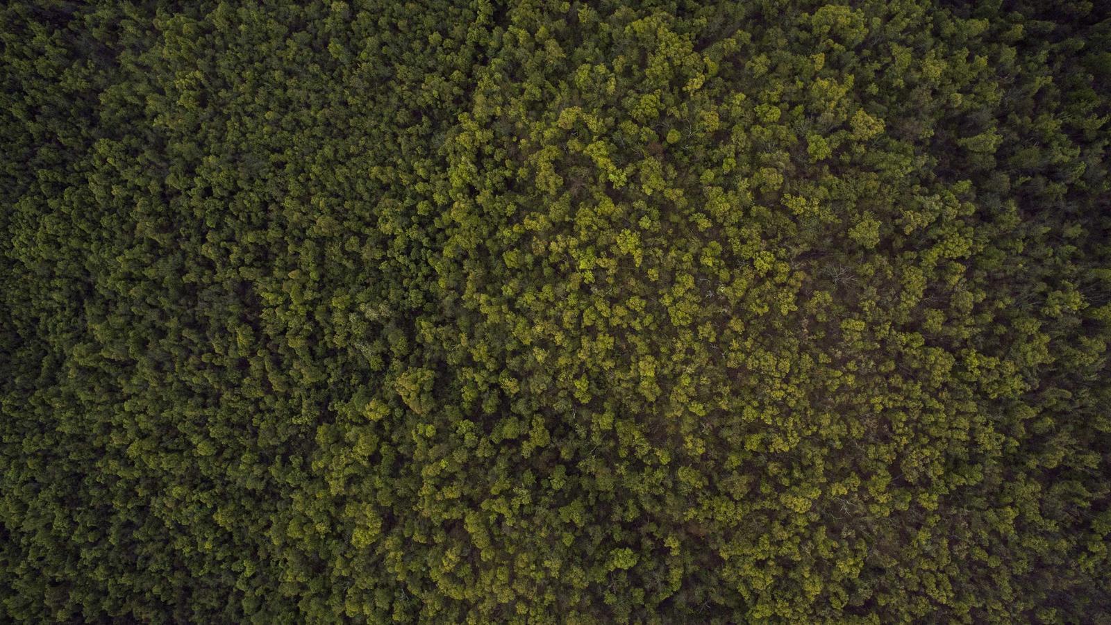 Helpful editorial image for What is a frontier AI model?