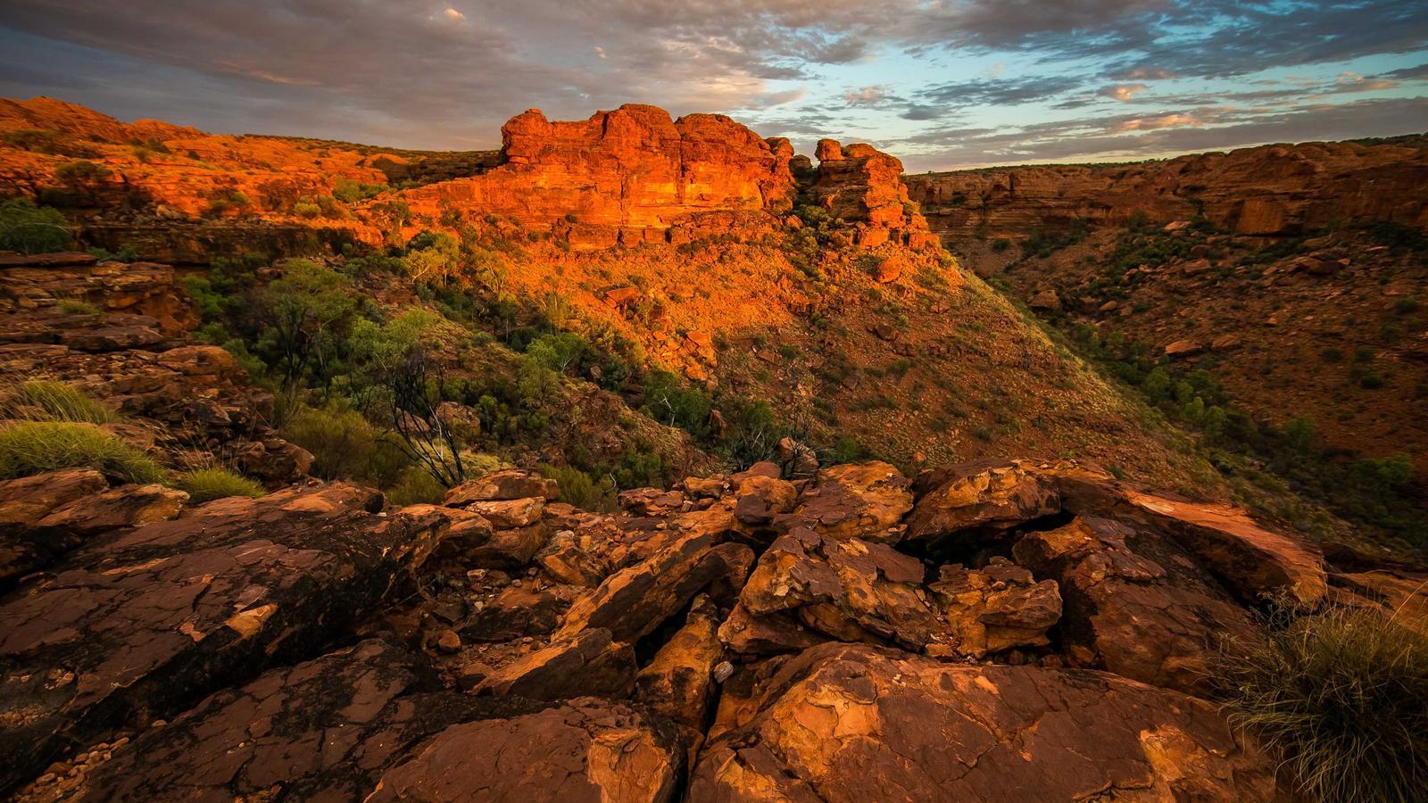 Helpful editorial image for What is AI alignment?