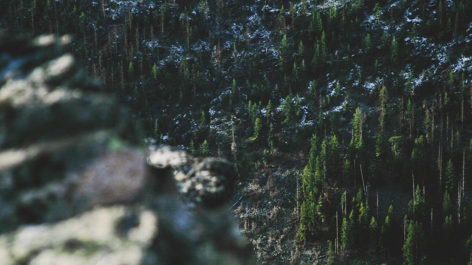 Helpful editorial image for What is fibermaxxing?