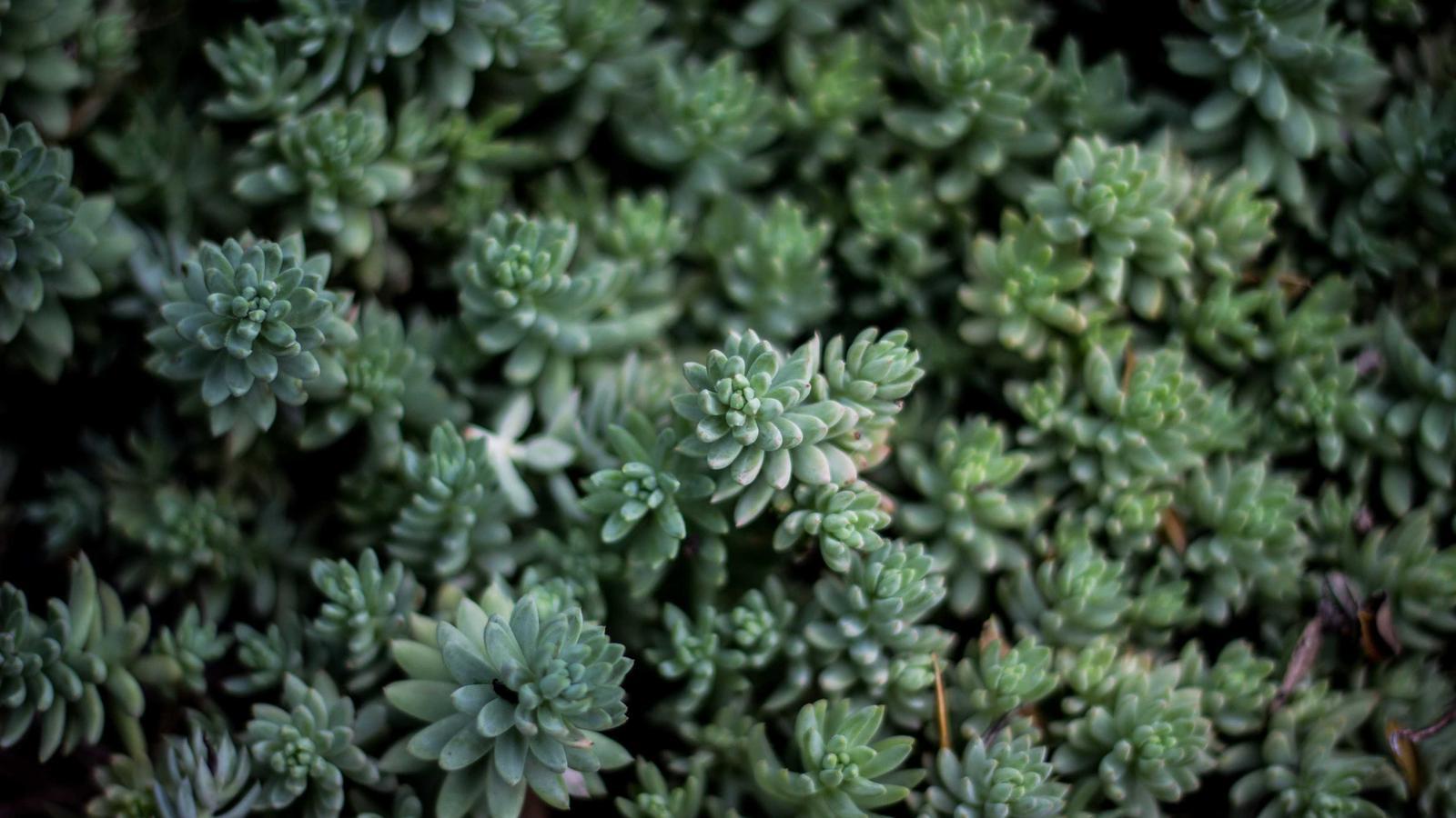 Helpful editorial image for What is synthetic data?