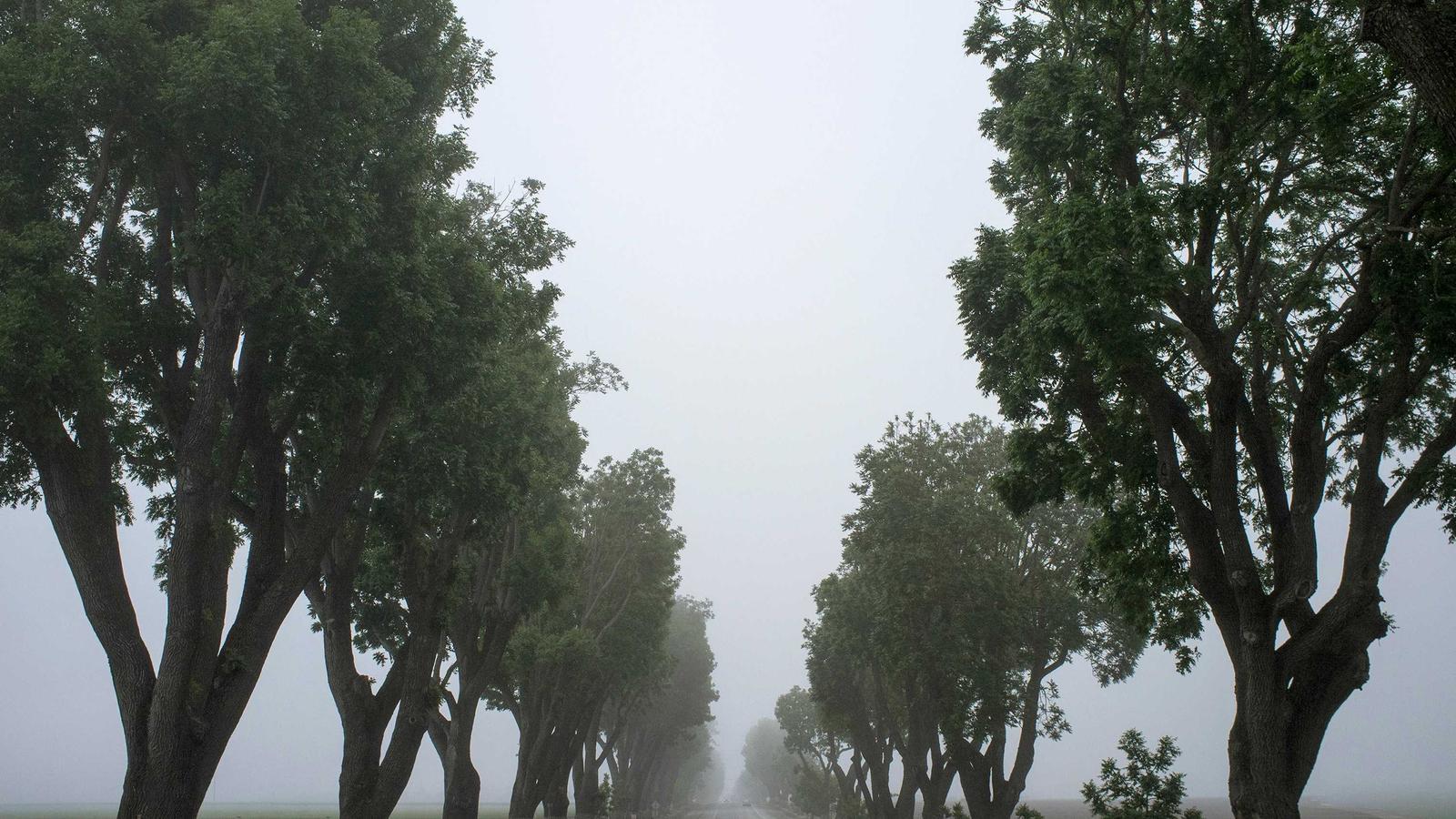 Helpful editorial image for What offside means in soccer