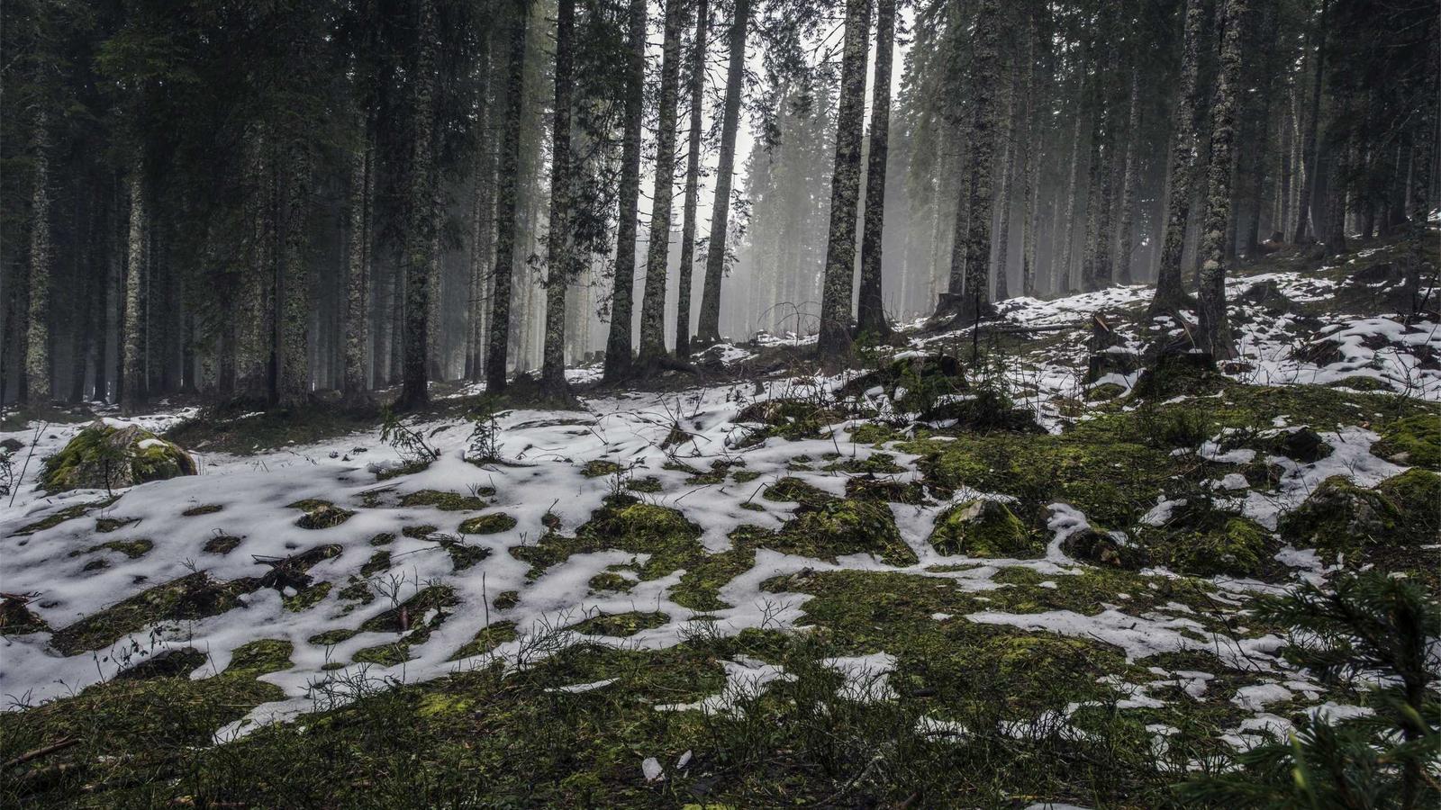 Helpful editorial image for Why AI game trailers are harder to trust