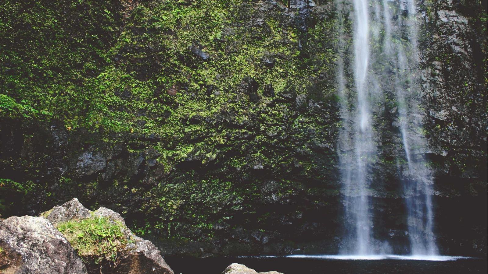 Helpful editorial image for Why Angel Reese gets so much attention