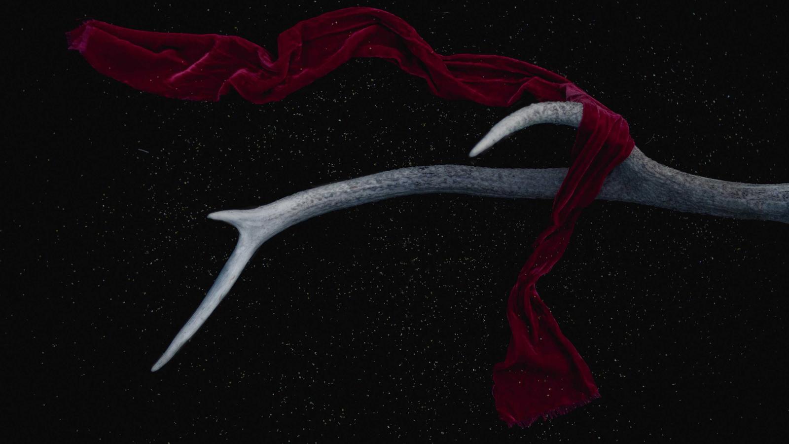 Editorial image about creator economy: Why MrBeast's subscriber count matters less than his business model