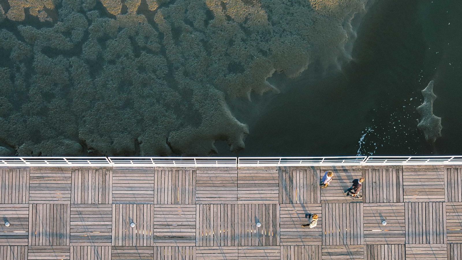 Editorial image about basketball: NBA buyout market explained