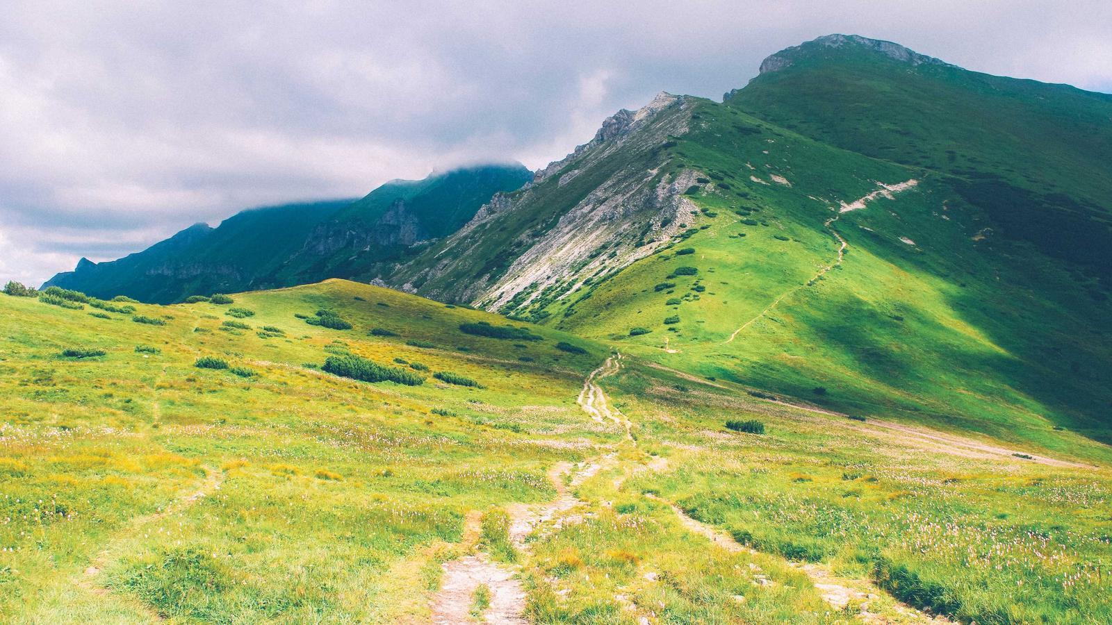 Editorial image about basketball: NBA max contract explained