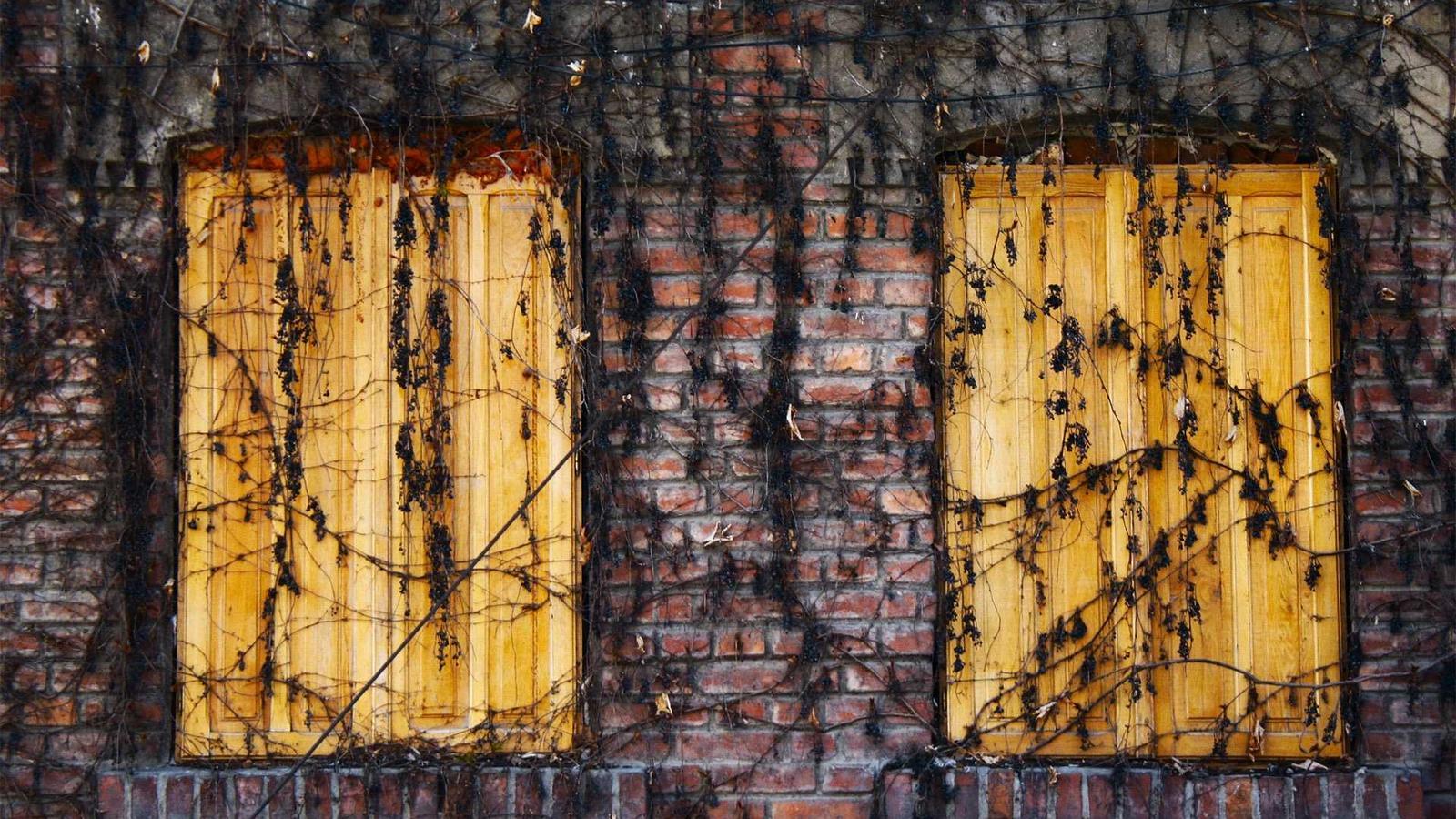 Two people in a professional meeting with notebooks
