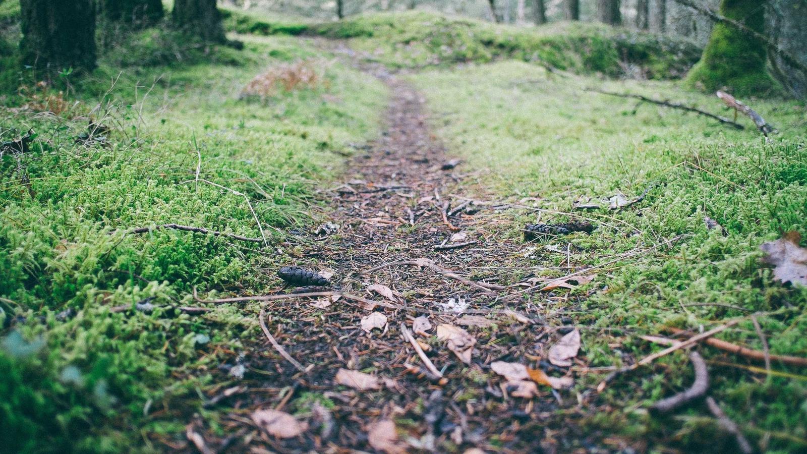 Editorial image about football: NFL coaching carousel explained