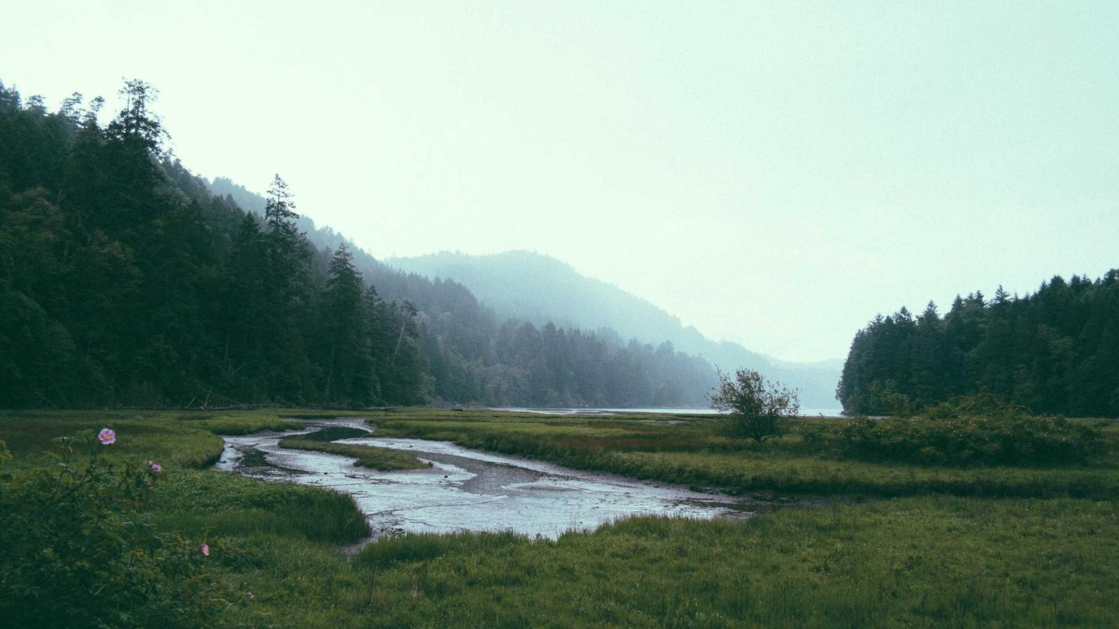 Editorial image about football: NFL power rankings explained