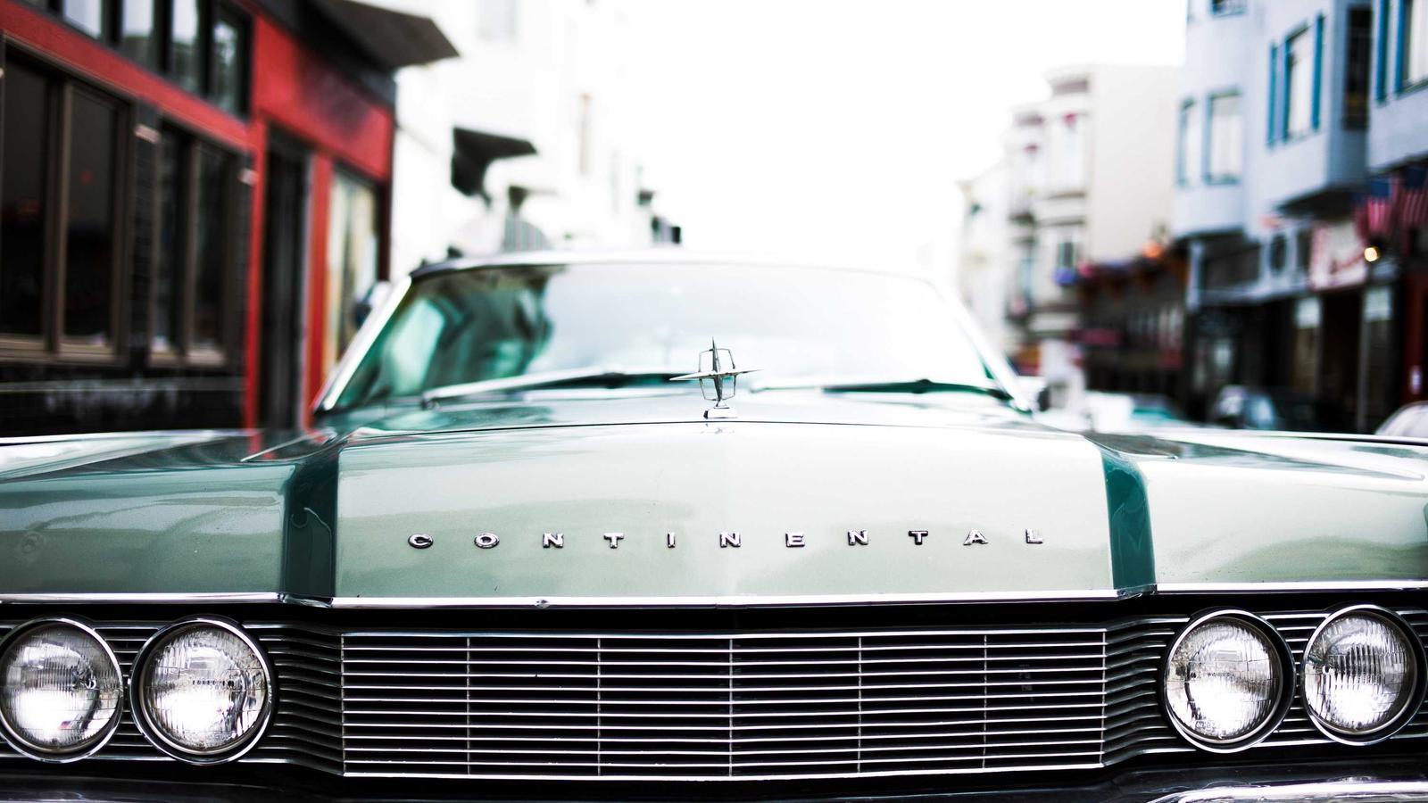 A collection of low-maintenance houseplants on a wooden shelf