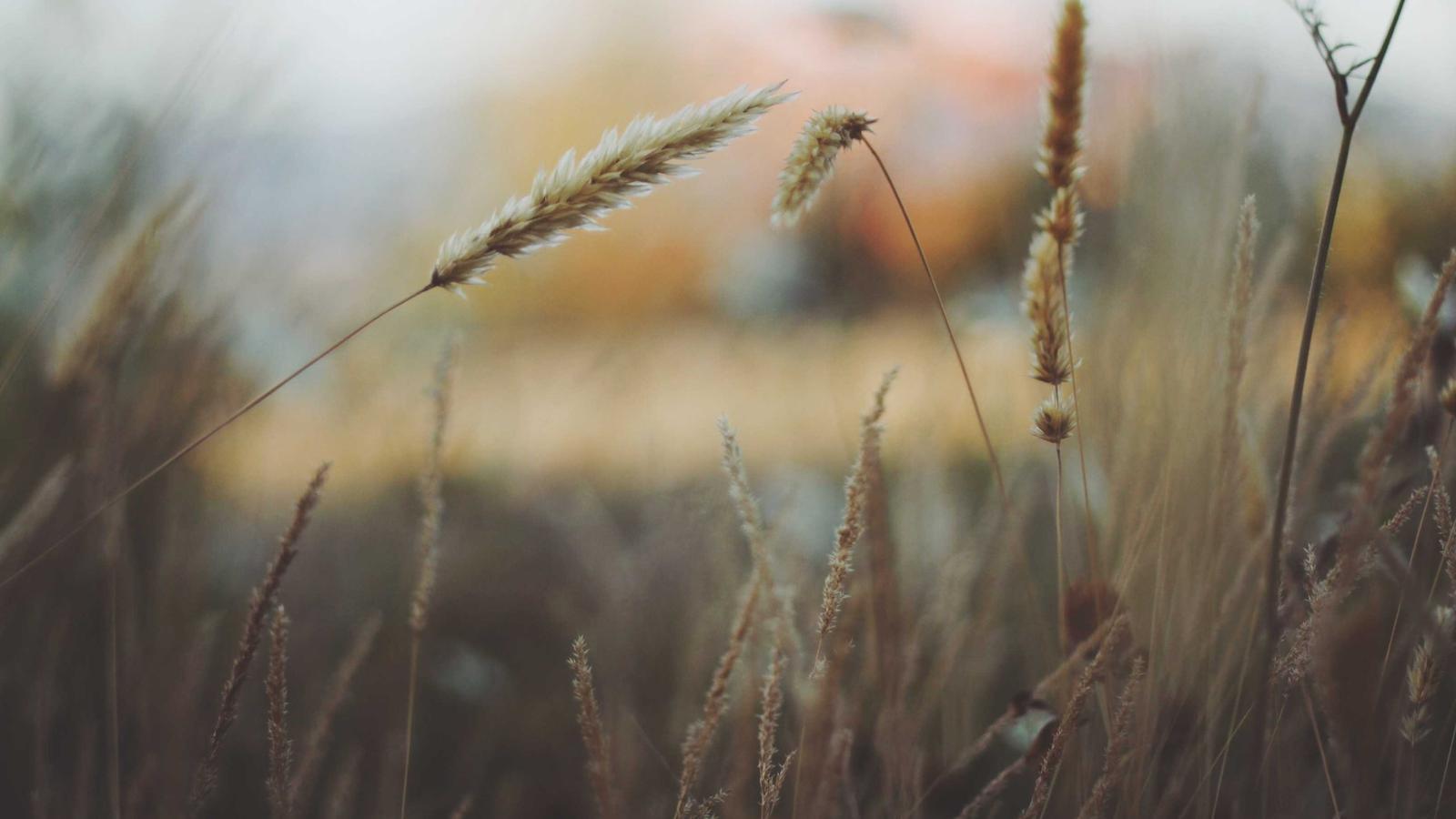 Editorial image about politics and civics: Presidential Records Act explained