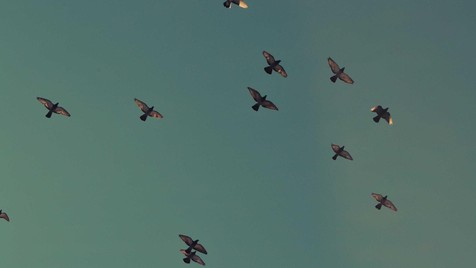 A phone scanning a document on a wooden table
