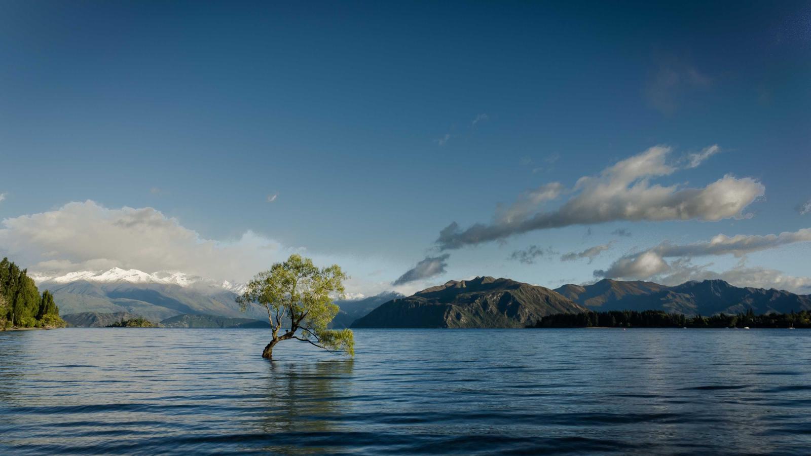 Editorial image about politics and civics: Supreme Court injunctions explained