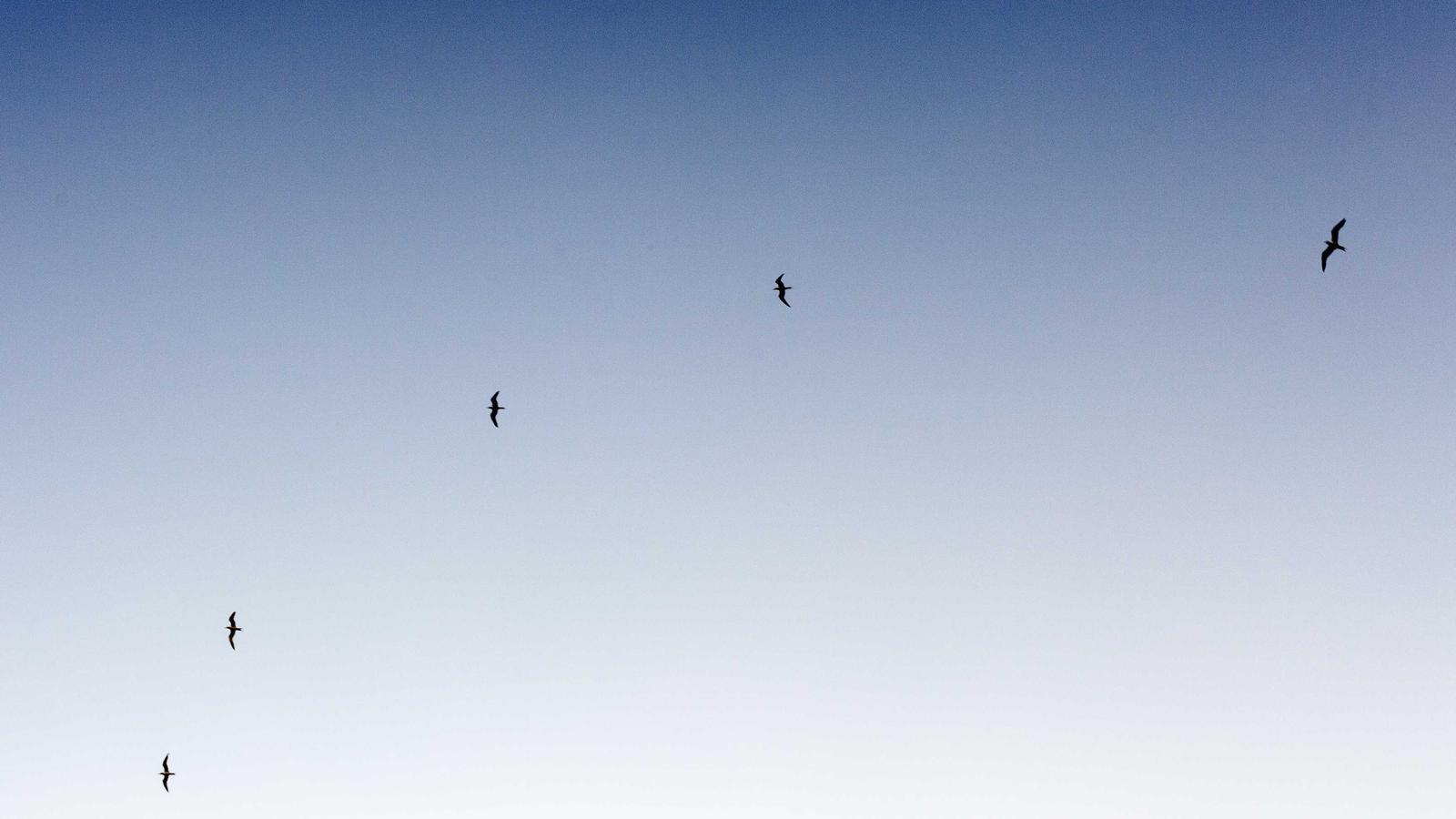 A collection of mid-2000s game controllers and discs on a shelf