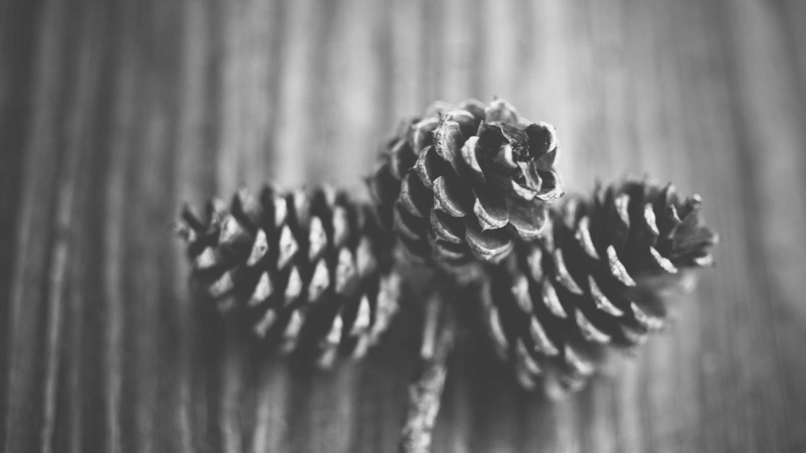 Editorial image about politics and civics: Trump approval rating explained