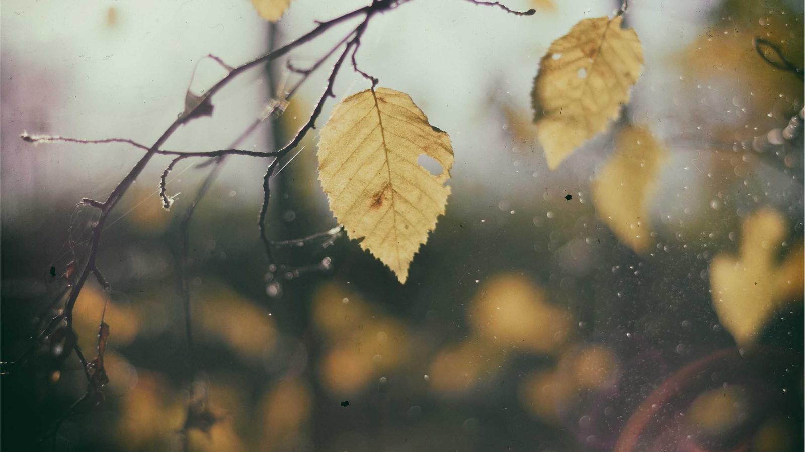 Editorial gaming image for Why GTA 6 was delayed: the simple version