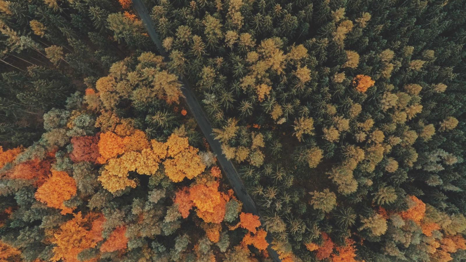 Editorial image about creator economy: YouTube Shorts vs Instagram Reels: where to post first